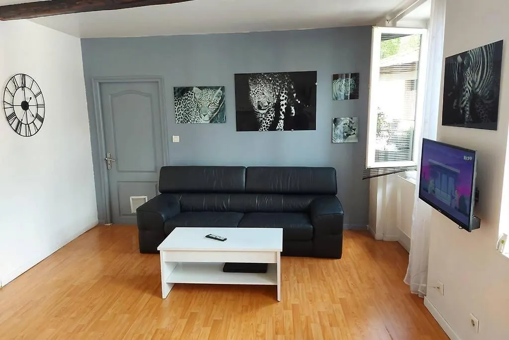 Cosy T2,Centre,Wi Fi,Tram,Bus,Proche Opera,Facs Apartment Saint-Etienne
