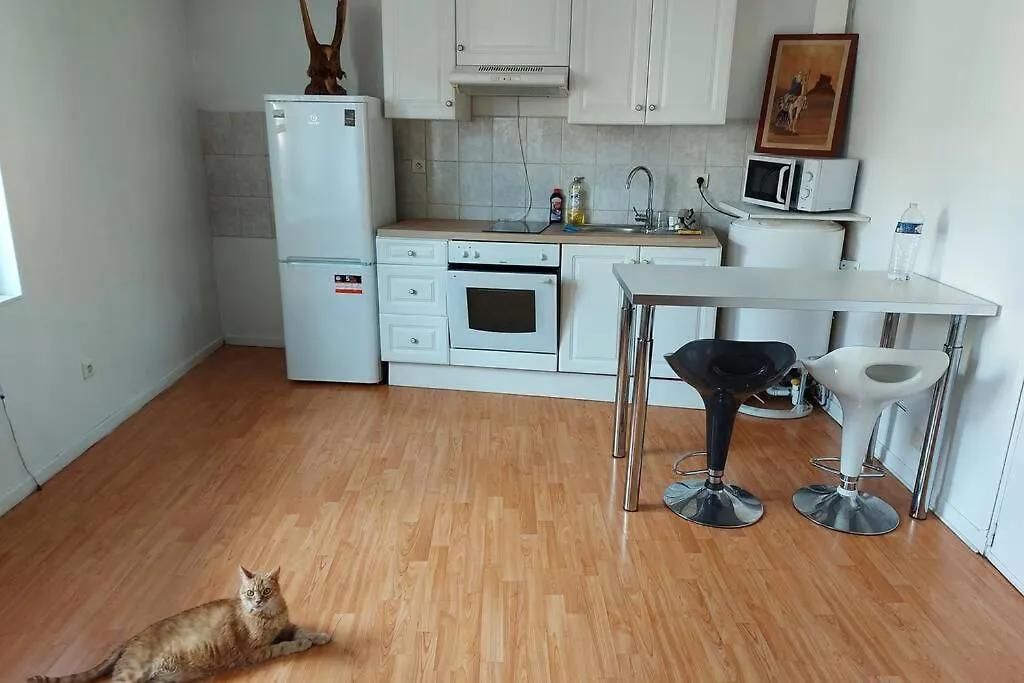 Cosy T2,Centre,Wi Fi,Tram,Bus,Proche Opera,Facs Apartment Saint-Etienne  France