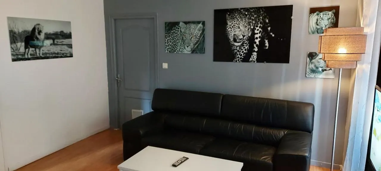 Cosy T2,Centre,Wi Fi,Tram,Bus,Proche Opera,Facs Apartment Saint-Etienne