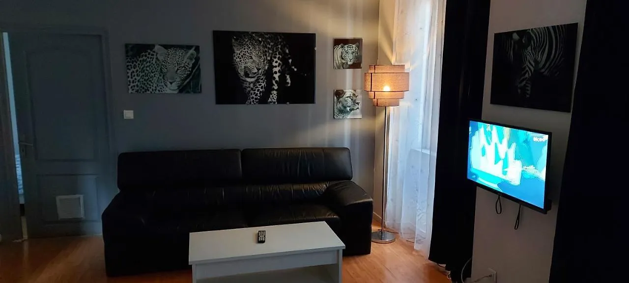 Cosy T2,Centre,Wi Fi,Tram,Bus,Proche Opera,Facs Apartment Saint-Etienne